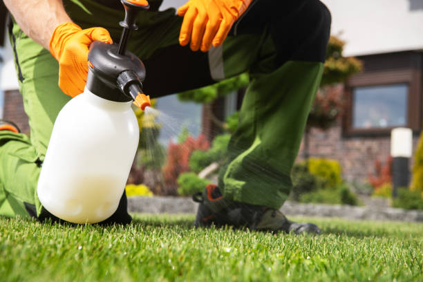 Best Pest Control Near Me  in Nashwauk, MN