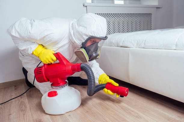 Best Pest Prevention Services  in Nashwauk, MN