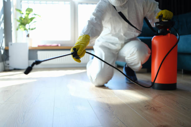 Reliable Nashwauk, MN Pest Control Solutions