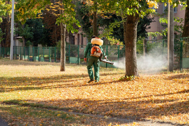 Best Best Pest Control Companies  in Nashwauk, MN