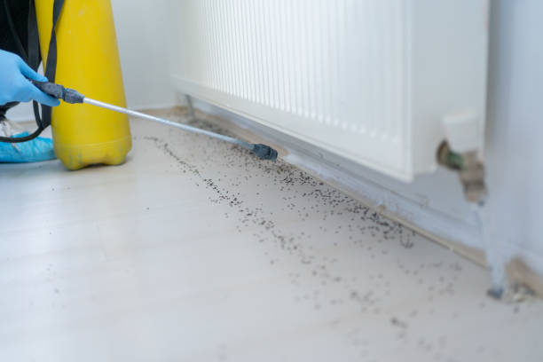 Best Commercial Pest Control Services  in Nashwauk, MN