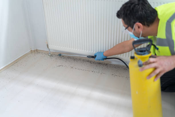 Best Commercial Pest Control Services  in Nashwauk, MN