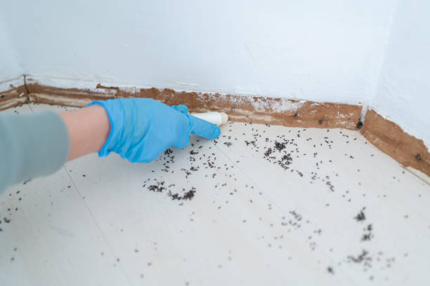 Wildlife Control Services in Nashwauk, MN