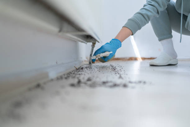 Best Exterminator Services  in Nashwauk, MN